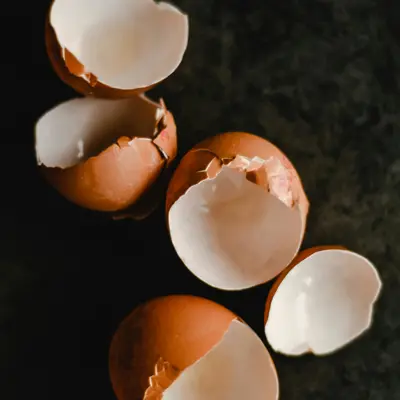 broken egg shells