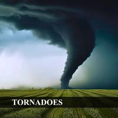 Link leading to more information on tornados.